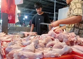 Harga Cabai dan Ayam Stabil, Pedagang di Tangsel Merasa Lega