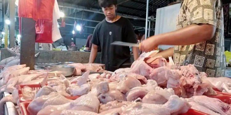 Harga Cabai dan Ayam Stabil, Pedagang di Tangsel Merasa Lega