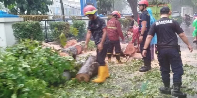 Hujan Lebat Mengakibatkan Pohon Tumbang di Jalan TMP Taruna Kota Tangerang