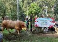 Hewan Kurban Presiden Disalurkan ke Masyarakat Banten