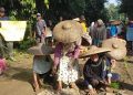Warga Desa Karyajaya Lebak Tanam Padi di Jalan yang Rusak