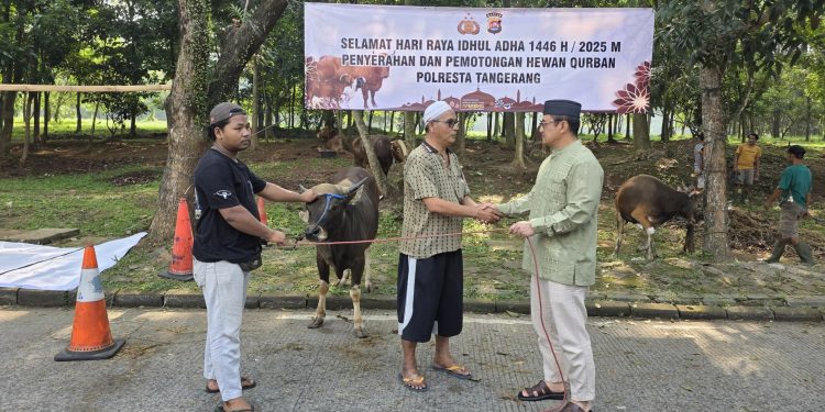 Pemotongan Hewan Kurban Dilaksanakan Oleh Polresta Tangerang