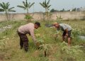 Dukung Ketahanan Pangan dengan Pantauan Tanaman Terong oleh Bhabinkamtibmas Tangerang