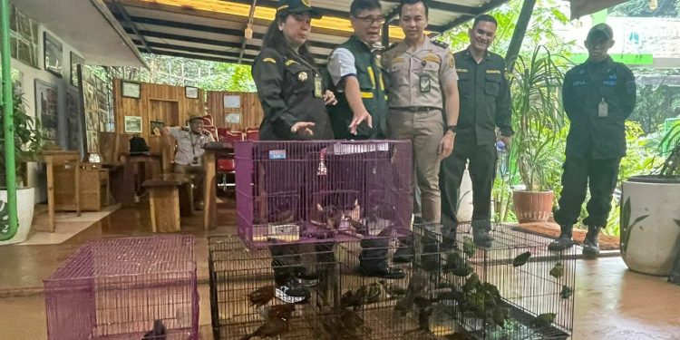 334 Burung Ilegal dari Payakumbuh Ditegah Karantina Banten