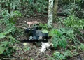 Penemuan Mayat Laki-laki di Bawah Pohon Melinjo Gegerkan Warga Cibadak Lebak