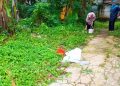 Mayat Bayi Ditemukan di Tumpukan Sampah Pondok Aren Tangerang Selatan