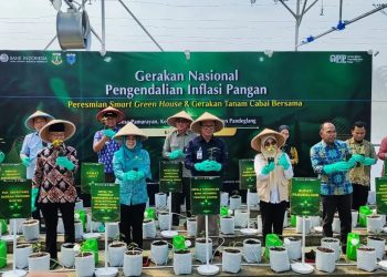 Smart Green House Diresmikan, BI Banten Dukung Petani Milenial Atasi Inflasi Cabai