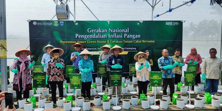Smart Green House Diresmikan, BI Banten Dukung Petani Milenial Atasi Inflasi Cabai