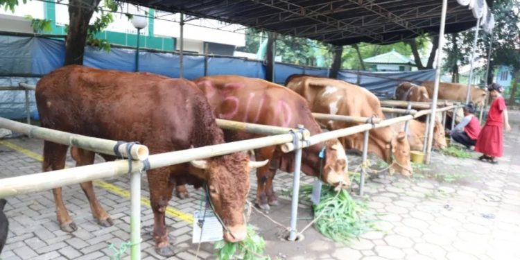 Masjid Raya Al-A’zhom Kota Tangerang Rencanakan Bagikan 3000 Kupon Hewan Kurban