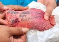 Warga Tangsel Geger, Nama Orang Tercetak di Paru-paru Sapi Kurban