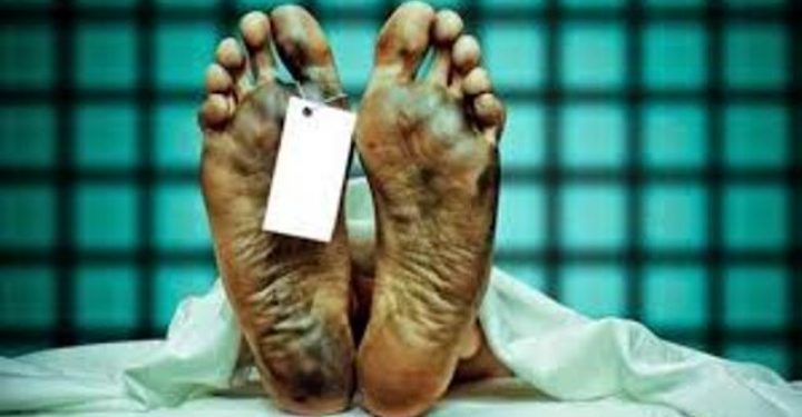 Pekerja Bongkar Muat Semen Tewas di Perusahaan Semen