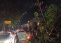 Truk Keluar Jalur Tabrak Pohon dan Tiang Listrik di Jalan Lopang Banten Lama