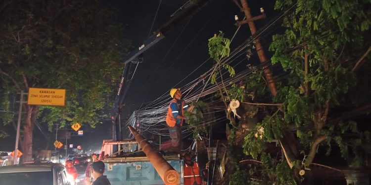 Truk Keluar Jalur Tabrak Pohon dan Tiang Listrik di Jalan Lopang Banten Lama