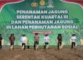 Polda Banten Laksanakan Penanaman Jagung di 93 Lokasi di Banten