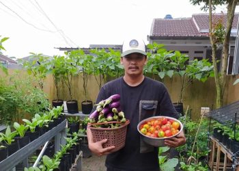 Berkebun di Rumah, Pria Pandeglang Ciptakan Ketahanan Pangan dan Dapatkan Keuntungan