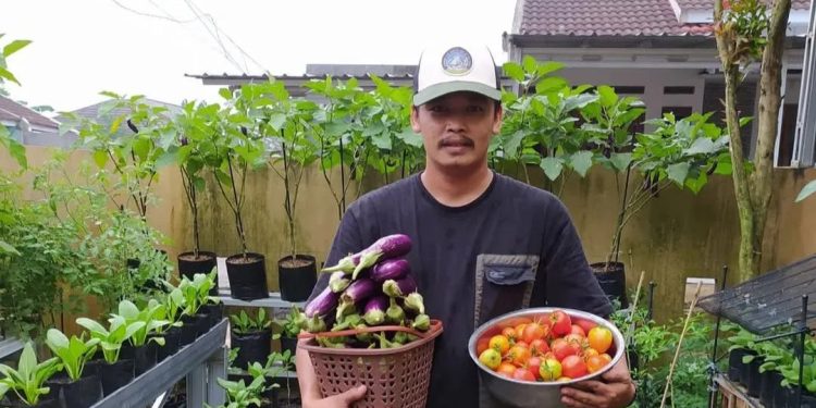 Berkebun di Rumah, Pria Pandeglang Ciptakan Ketahanan Pangan dan Dapatkan Keuntungan