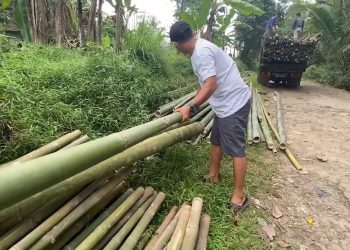 Pengepul Bambu di Lebak Kebanjiran Order Menjelang HUT RI Ke-80