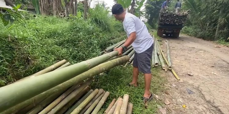 Pengepul Bambu di Lebak Kebanjiran Order Menjelang HUT RI Ke-80