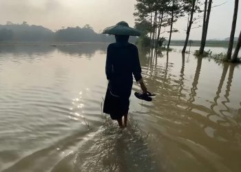Sawah di Lebak Terendam Banjir, Warga Sebut Akibat Proyek Tol
