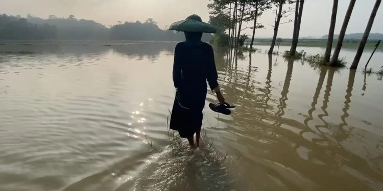 Sawah di Lebak Terendam Banjir, Warga Sebut Akibat Proyek Tol