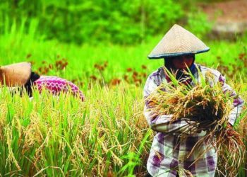 Nasib dan Kesejahteraan Petani di Cilegon
