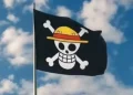 Bendera One Piece Dilarang Dikirbarkan di Banten dan Makna di Baliknya