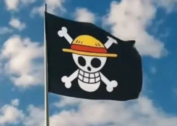 Bendera One Piece Dilarang Dikirbarkan di Banten dan Makna di Baliknya
