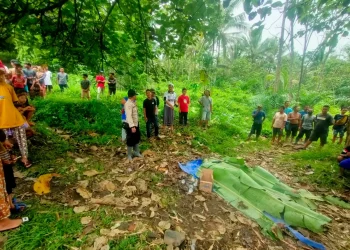 Dump Truk Angkut Semen Terbalik, 2 Penumpang Meninggal Dunia