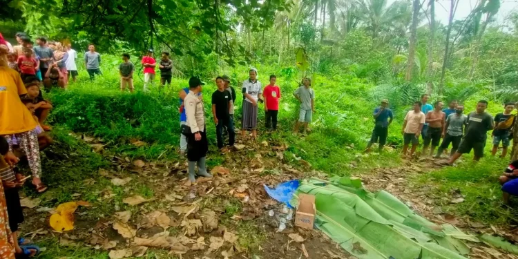 Dump Truk Angkut Semen Terbalik, 2 Penumpang Meninggal Dunia