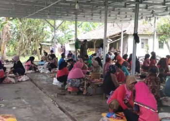 Warga Cibadak Lebak Keluhkan Bau Busuk dari Industri Pengolahan Ayam