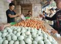 Kenaikan Harga Telur dan Sayur di Pasar Rau karena Program MBG