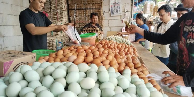 Kenaikan Harga Telur dan Sayur di Pasar Rau karena Program MBG