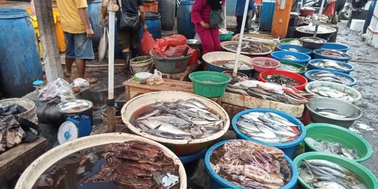 Rekomendasi Tempat Pelelangan Ikan di Banten untuk Menu Bakaran di Malam Tahun Baru