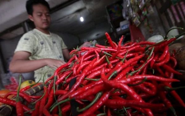 Inflasi Banten Desember 2025 Naik 0,67 Persen, Cabai Rawit Penyumbang Utama