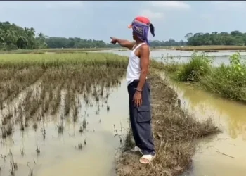 Banjir Merendam Puluhan Hektare Sawah di Lebak Terancam Gagal Panen