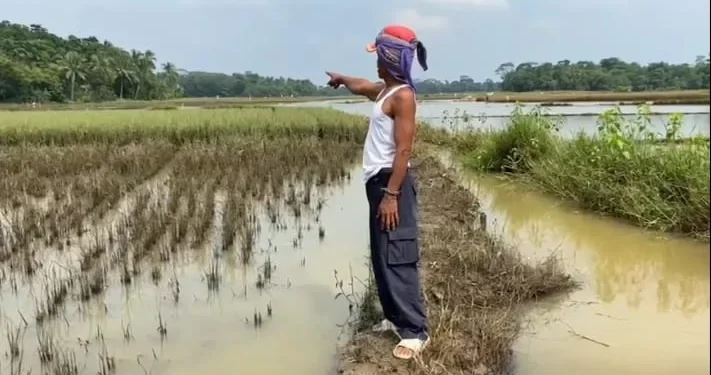 Banjir Merendam Puluhan Hektare Sawah di Lebak Terancam Gagal Panen